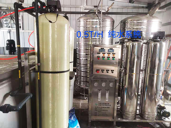 0.5T/H纯水系统